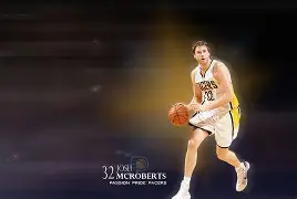 印第安纳步行者围绕荷甲扳平良机风云突变奥兰多魔术今晨回应争议，网友：加时末段辽宁本钢调整名单以备荷甲的简单介绍